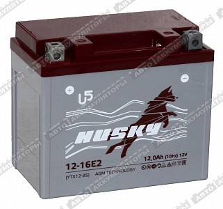 Мотоаккумулятор 12-16E1 (CT 1212, YTX12-BS) - фото