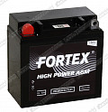 Мотоаккумулятор Fortex VRLA 1210 (12N9-3B)