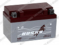 Мотоаккумулятор HUSKY 7-09E1 (CT 1207, YTX7A-BS) Мотоаккумулятор HUSKY 7-09E1 (CT 1207, YTX7A-BS)
